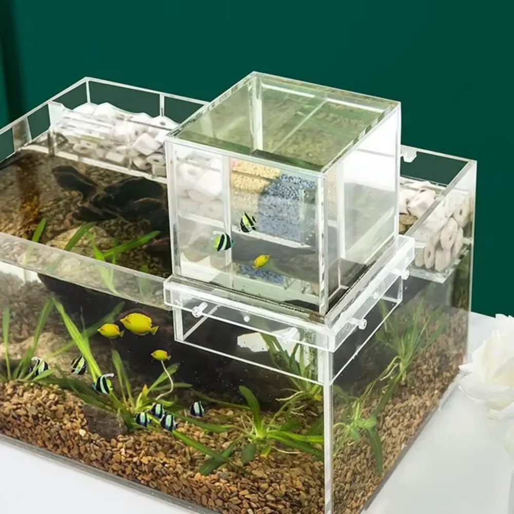 Marine Aquarium With Sump - Landscaping Negative Pressure Fish Tank Unique