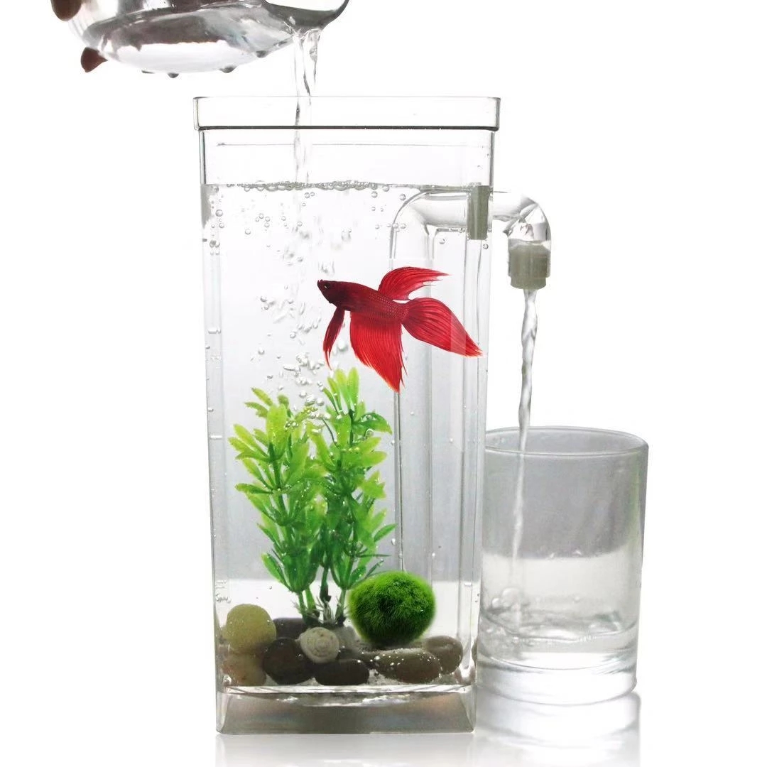 Marine Aquarium With Sump - Lazy Free Water Change Desktop Fish