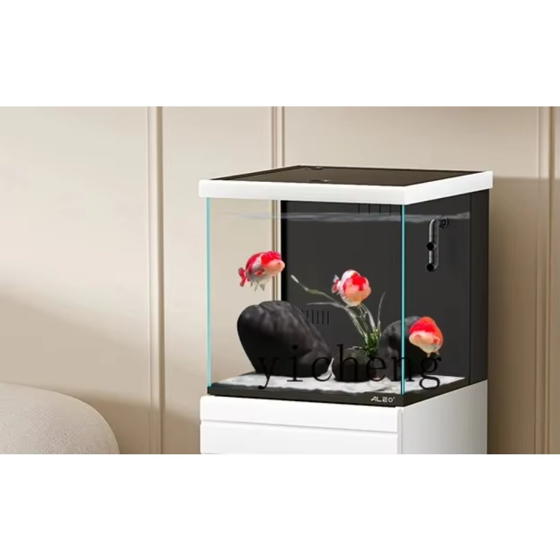 Marine Aquarium Live - FY1 Living Room Small Ultra-clear Glass