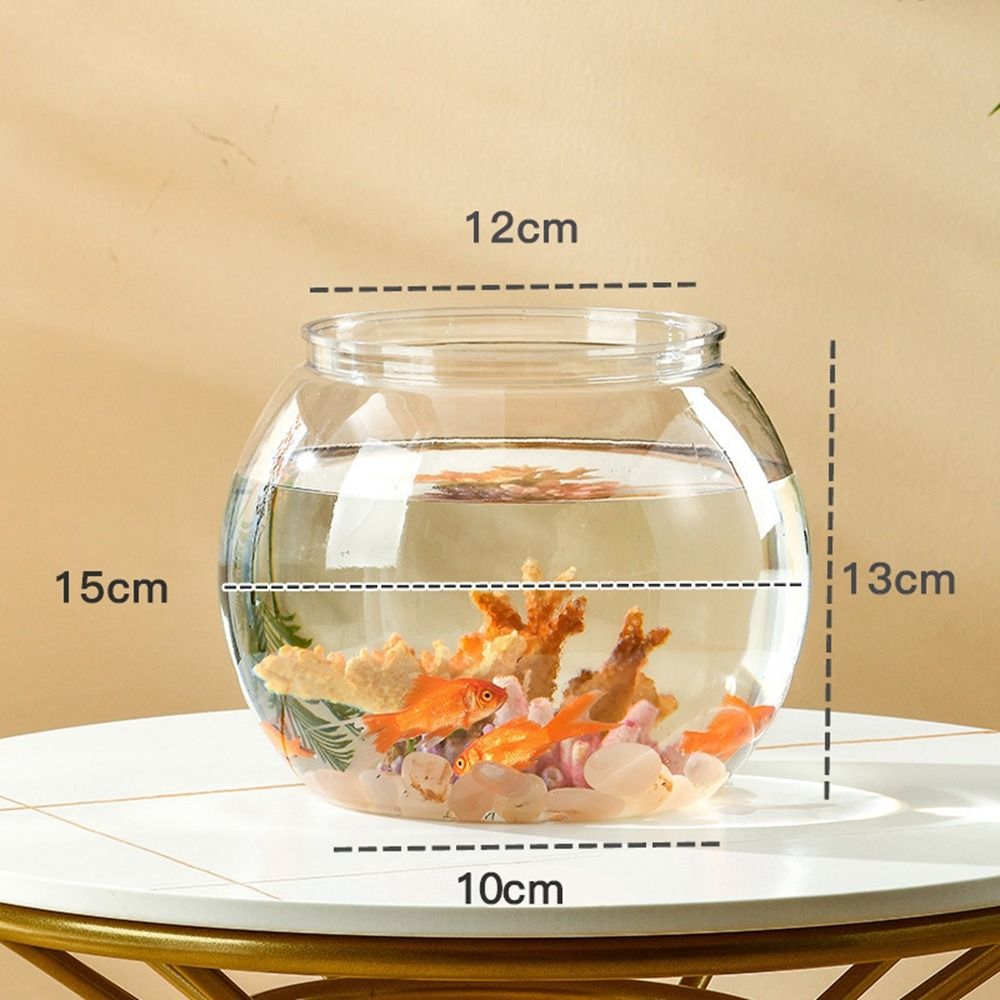 Home Decor Clear Transparent R - Marine Aquarium Live ulasan dan harga