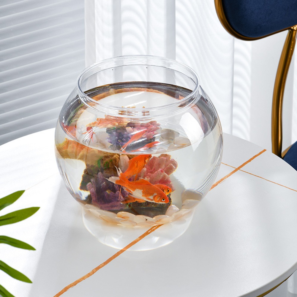 Home Decor Clear Transparent R - Marine Aquarium Live ulasan dan harga