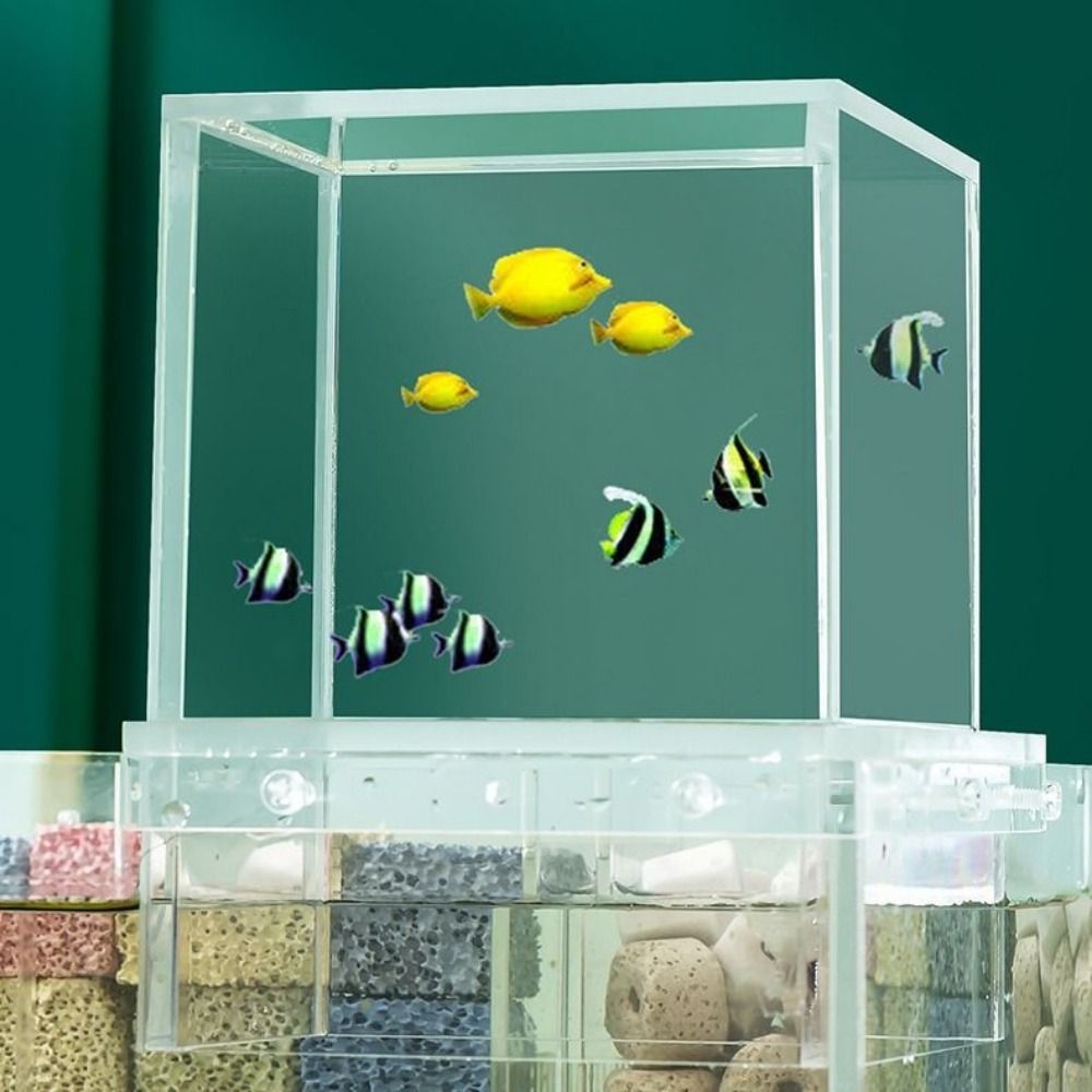 Landscaping Negative Pressure  - Marine Aquarium With Sump ulasan dan harga