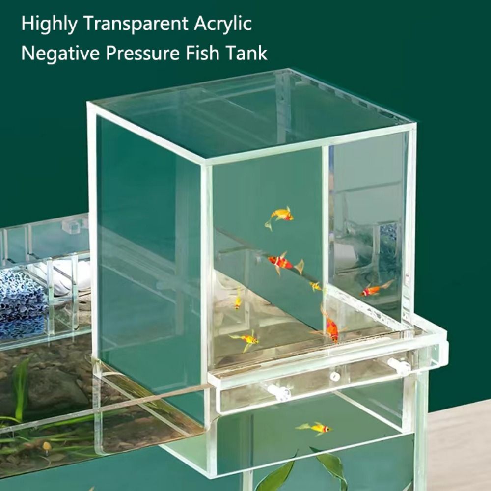 Landscaping Negative Pressure  - Marine Aquarium With Sump ulasan dan harga