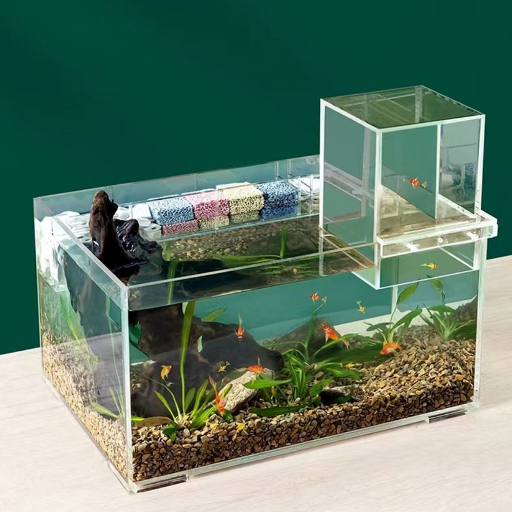 Landscaping Negative Pressure  - Marine Aquarium With Sump ulasan dan harga