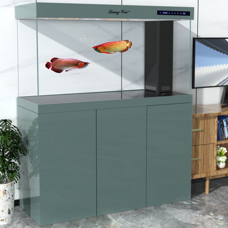 Ultra Clear Modern Glass Aquar - Marine Aquarium Live ulasan dan harga