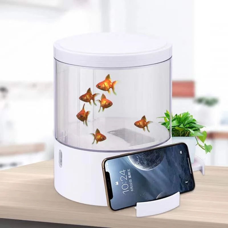 Round colorful lights desktop  - Marine Aquarium With Sump ulasan dan harga