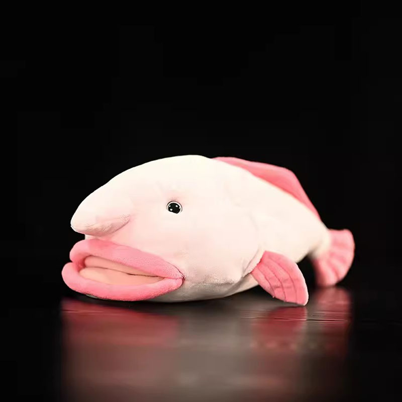 Simulated Animal Blobfish Sea  - Aquarium Marine Park ulasan dan harga