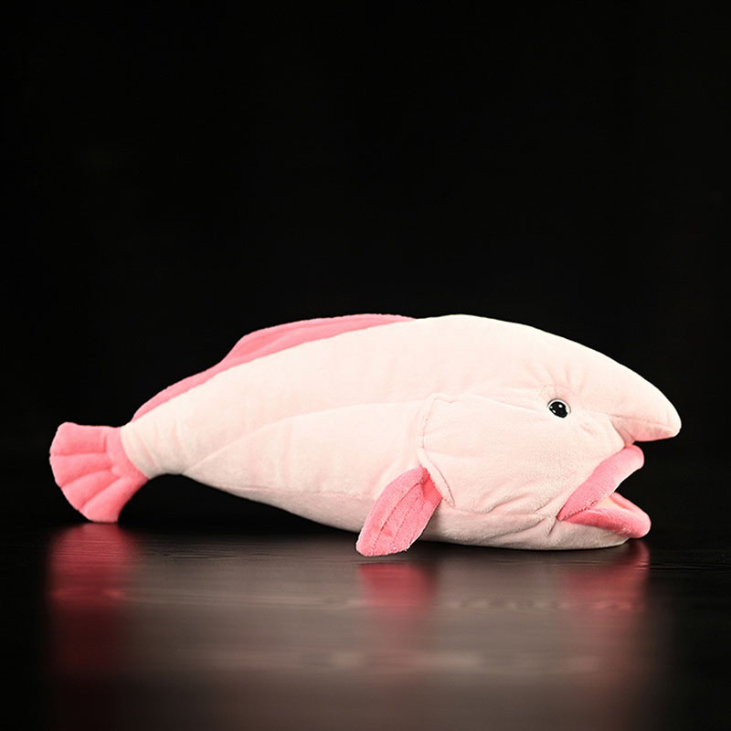 Simulated Animal Blobfish Sea  - Aquarium Marine Park ulasan dan harga