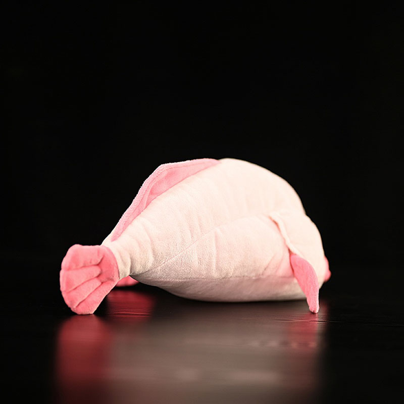 Simulated Animal Blobfish Sea  - Aquarium Marine Park ulasan dan harga