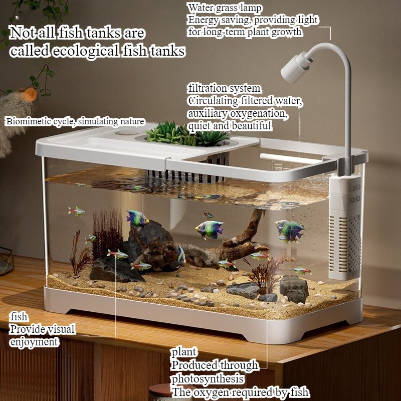 Fish tank household aquarium l - Marine Aquarium Live ulasan dan harga
