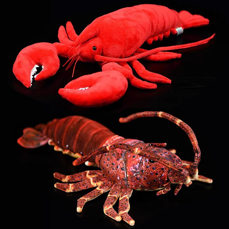 Simulated Animal Australia Spi - Aquarium Marine Park ulasan dan harga
