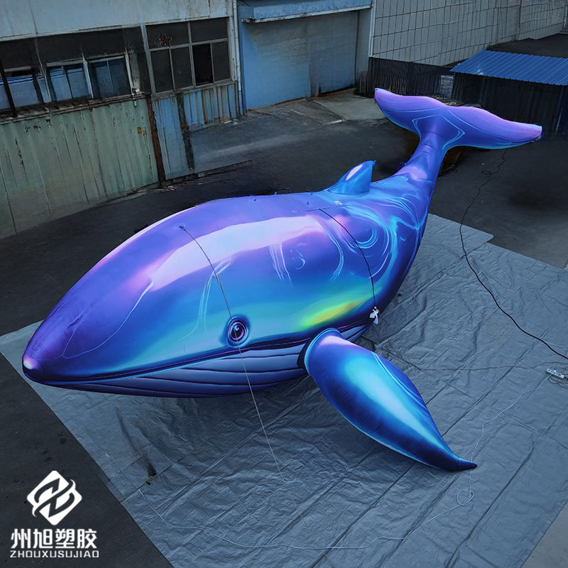 Inflatable blue whale, used as - Marine Aquarium Used ulasan dan harga
