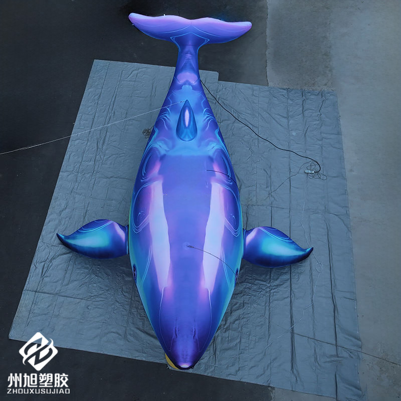Inflatable blue whale, used as - Marine Aquarium Used ulasan dan harga