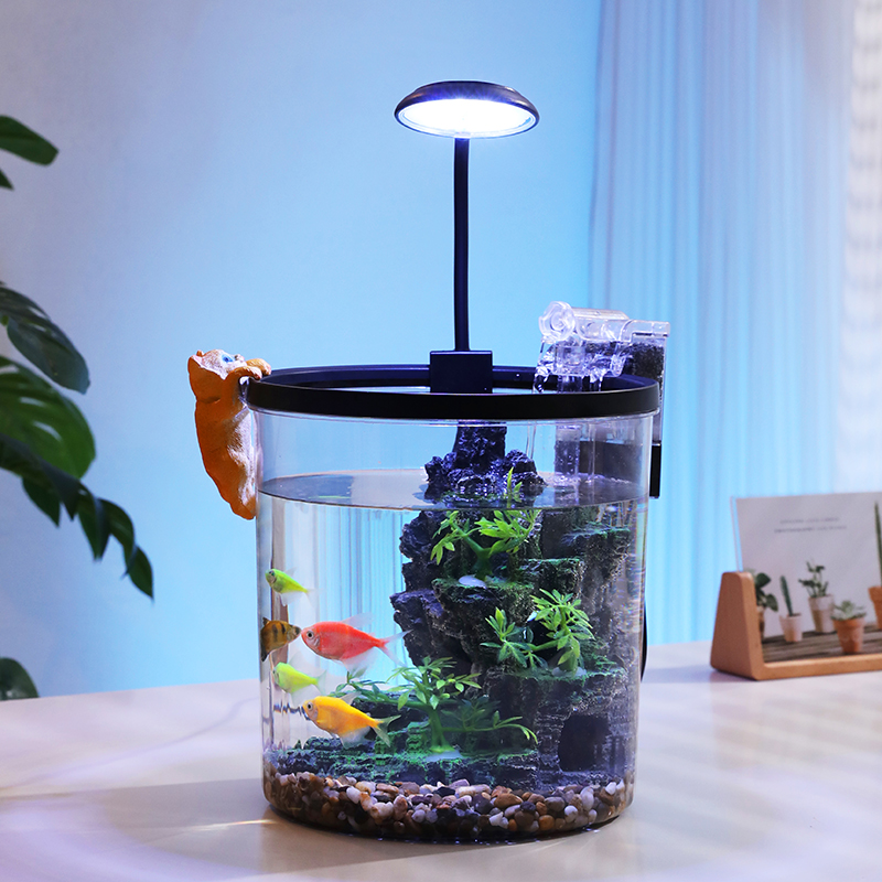 Compact Round Goldfish Bowl -  - Marine Aquarium With Sump ulasan dan harga