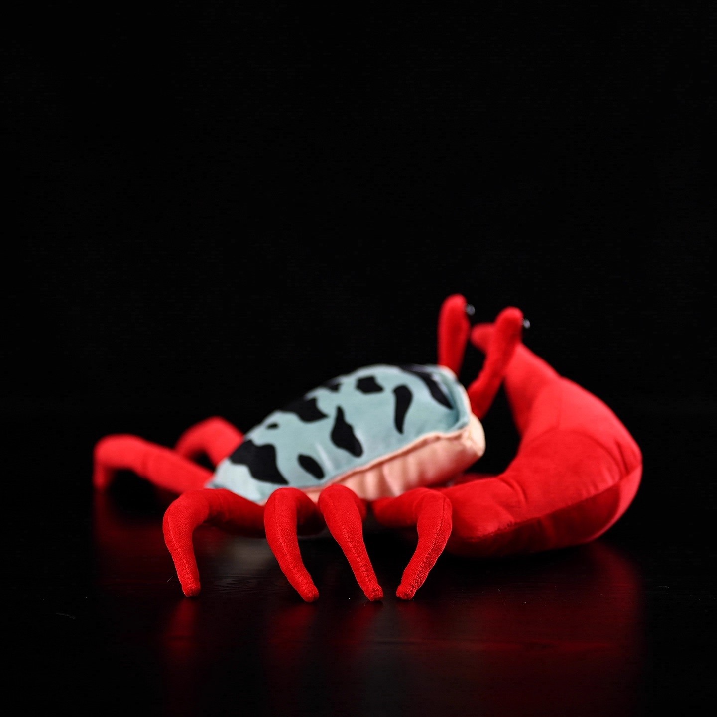 Red Claw Fiddler Crab Sea Beac - Aquarium Marine Park ulasan dan harga