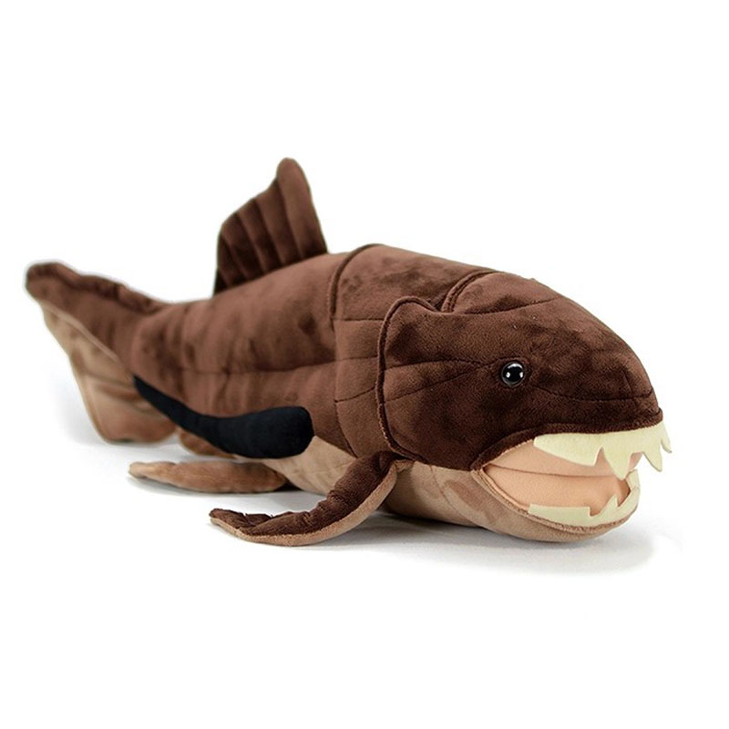 Dunkleosteus terrelli Dunkle F - Aquarium Marine Park ulasan dan harga