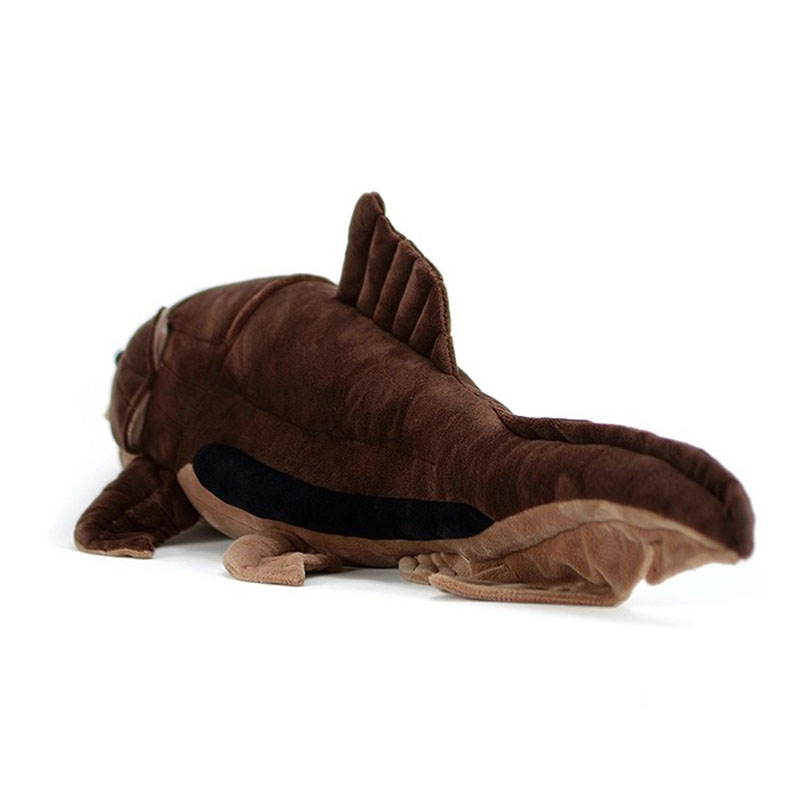 Dunkleosteus terrelli Dunkle F - Aquarium Marine Park ulasan dan harga