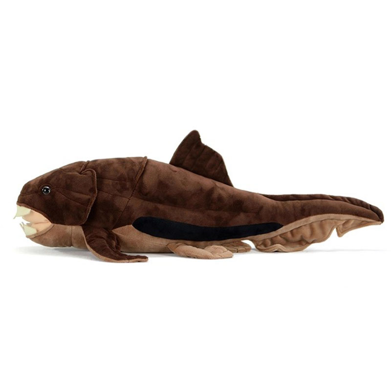 Dunkleosteus terrelli Dunkle F - Aquarium Marine Park ulasan dan harga
