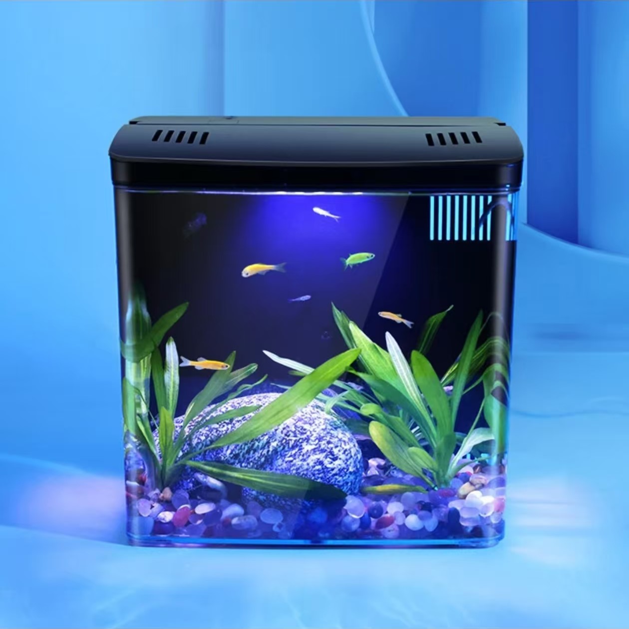 Fish Tank Living Room Small Mi - Marine Aquarium With Sump ulasan dan harga