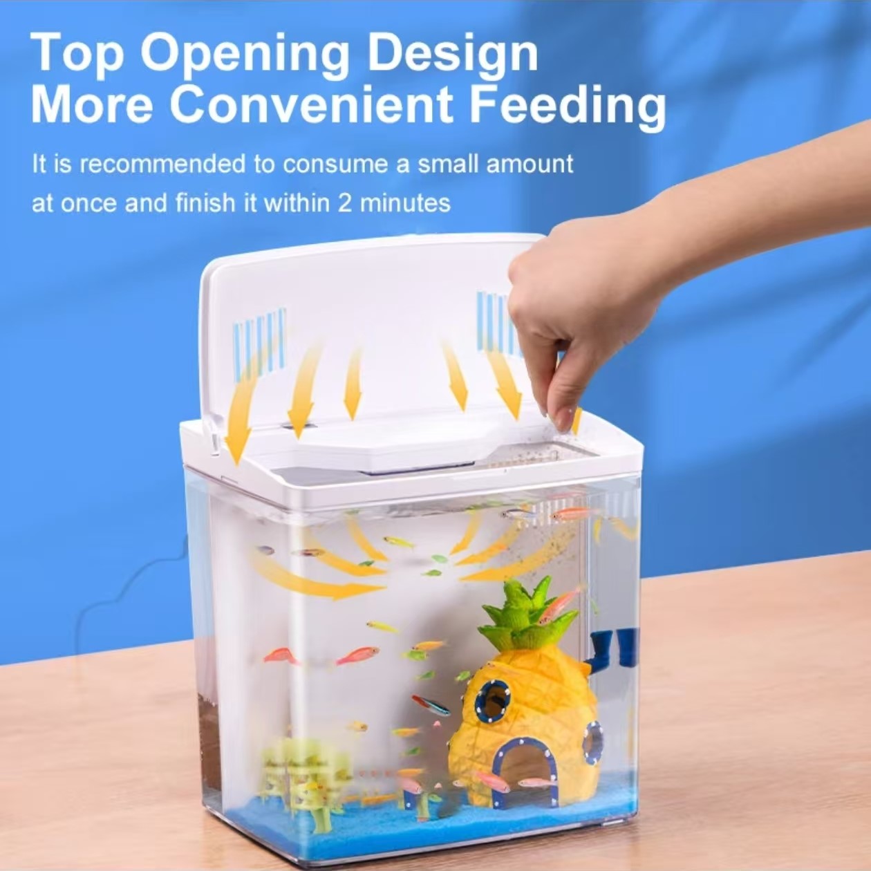 Fish Tank Living Room Small Mi - Marine Aquarium With Sump ulasan dan harga