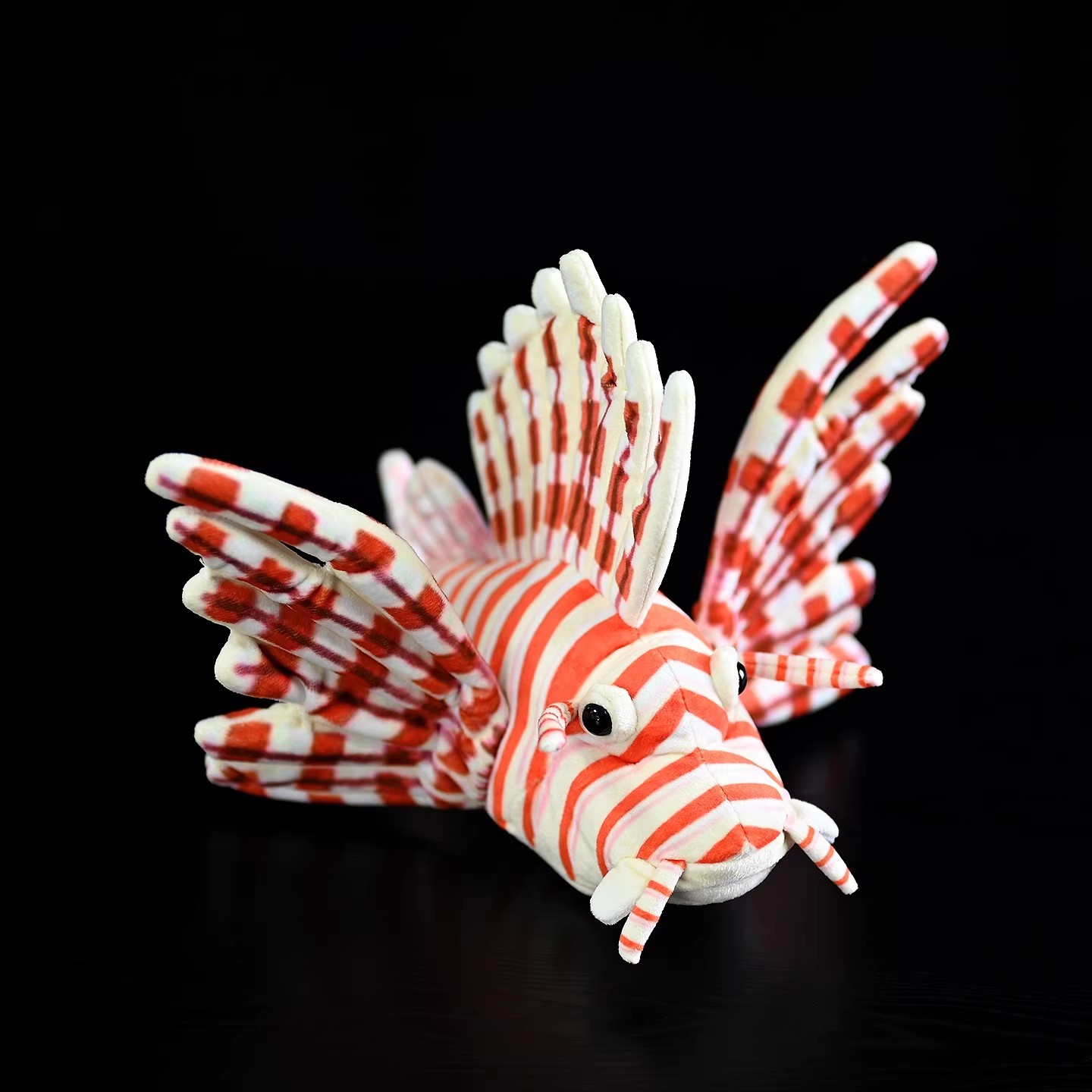 Pterois Volitans Coral Reef Fi - Aquarium Marine Park ulasan dan harga