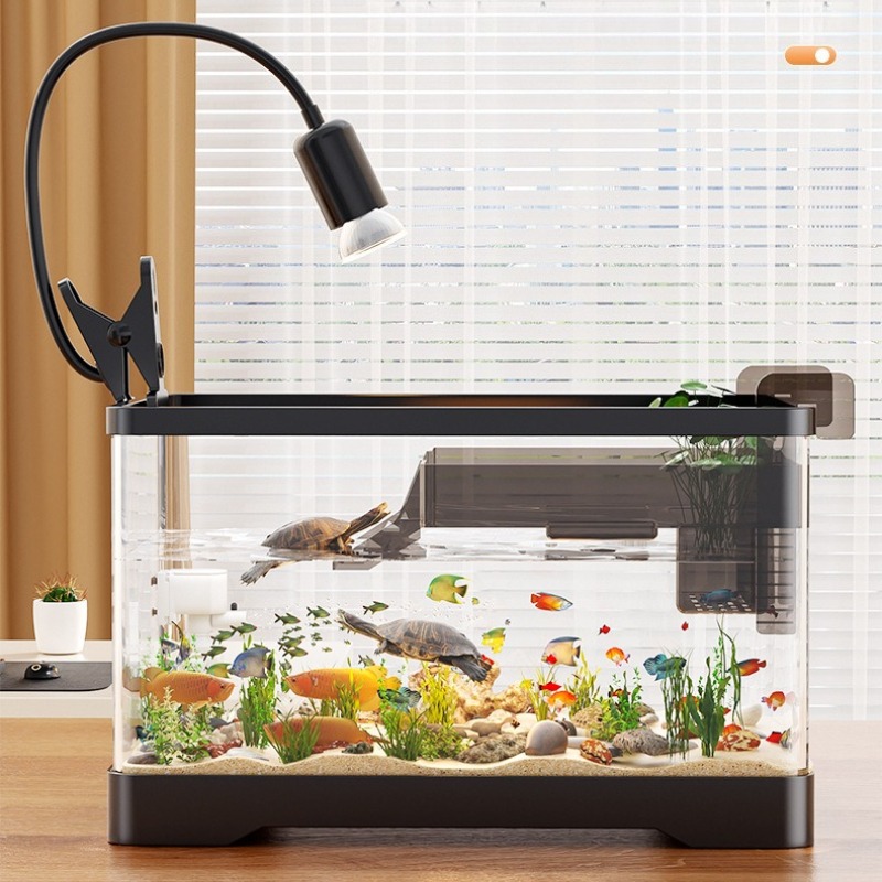 Acrylic Fish Aquarium Ultra Cl - Marine Aquarium Live ulasan dan harga