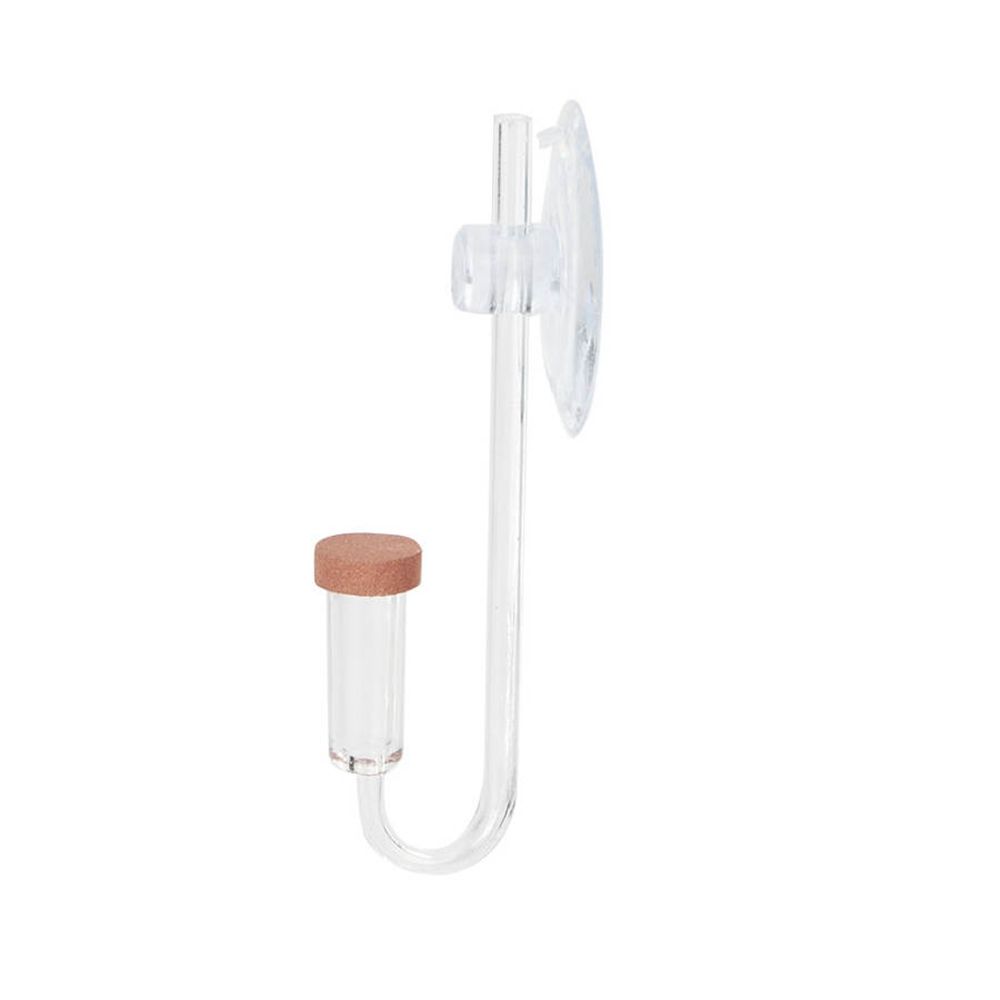 Acrylic Mini Fish Tank Live Pl - Marine Aquarium Live ulasan dan harga