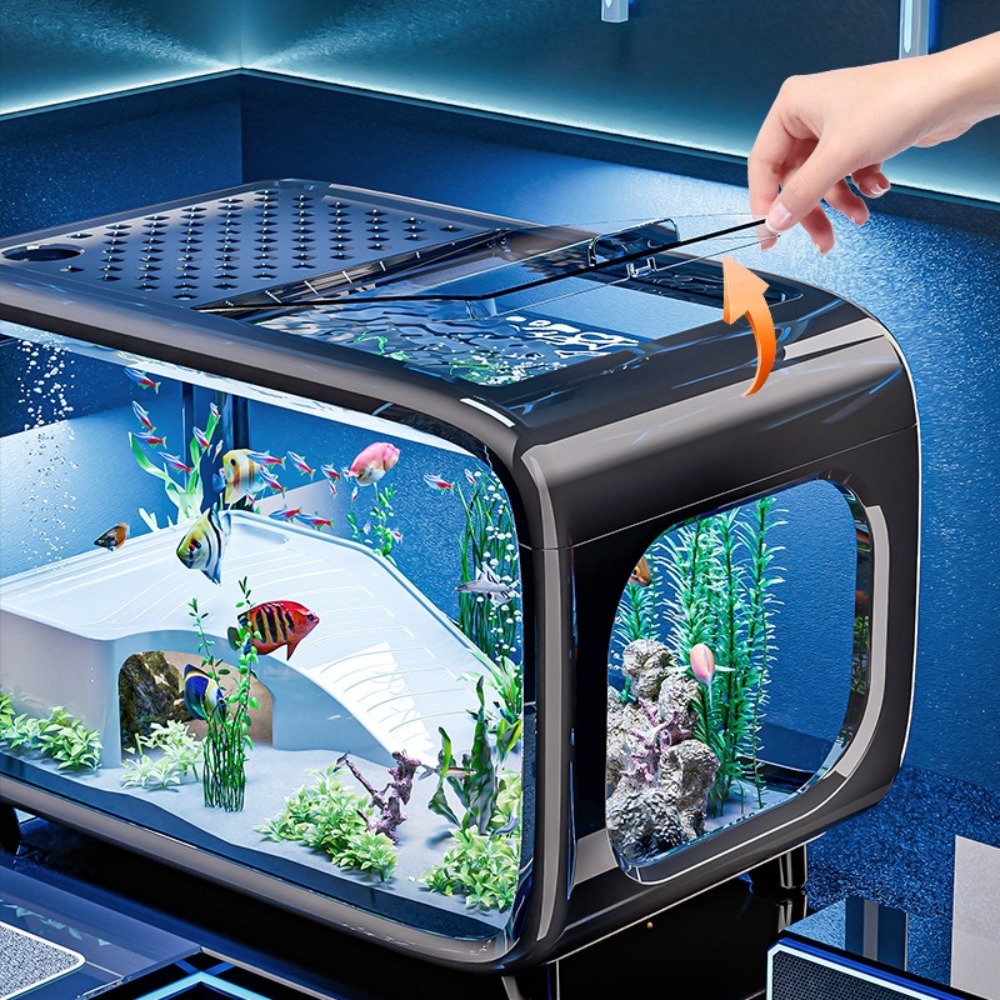 Transparent Luxury Fish Tank D - Marine Aquarium Live ulasan dan harga