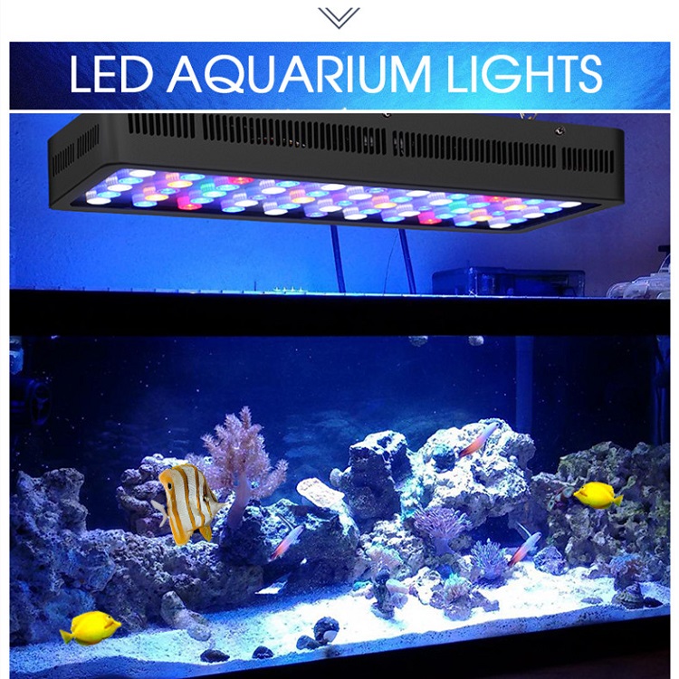 BT Wireless Control DIY Spectr - Marine Aquarium Used ulasan dan harga