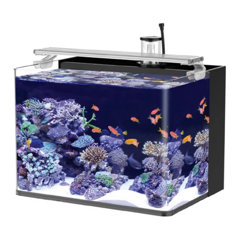 Table Curved Saltwater Marine  - Marine Aquarium Live ulasan dan harga