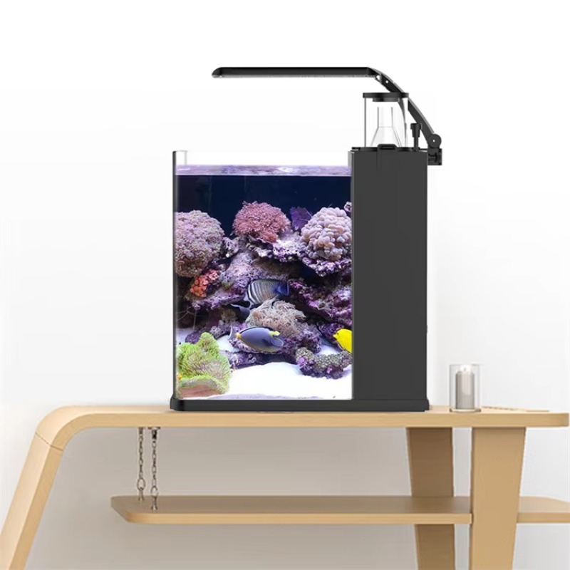 Table Curved Saltwater Marine  - Marine Aquarium Live ulasan dan harga